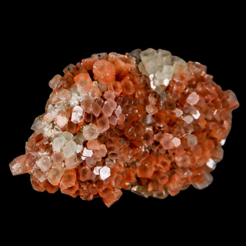 2.8" Aragonite Mineral Two Tone Crystal Cluster Specimen Tazouta Morocco - Fossil Age Minerals