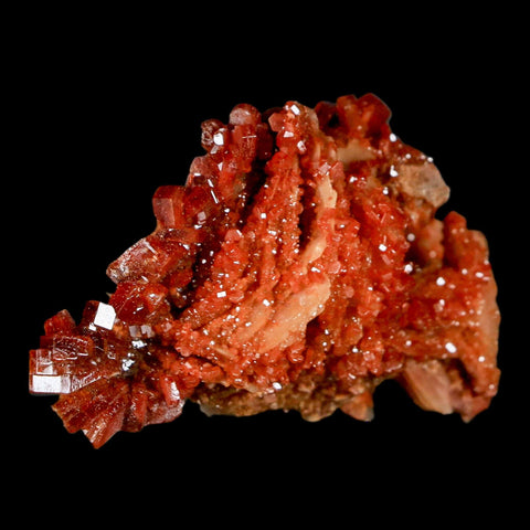 2.6" Sparkly Red Vanadinite Crystals on White Barite Blades Mineral Mabladen Morocco - Fossil Age Minerals