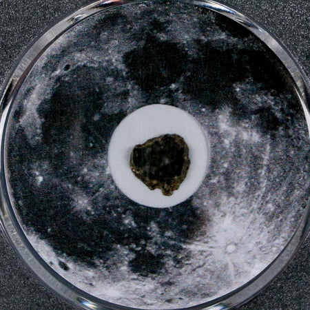 Moon Rock Lunar Meteorite Bechar 003 Algerian Sahara Desert Discovered 2022 COA