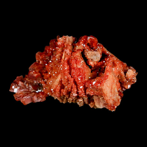 2.6" Sparkly Red Vanadinite Crystals on White Barite Blades Mineral Mabladen Morocco - Fossil Age Minerals