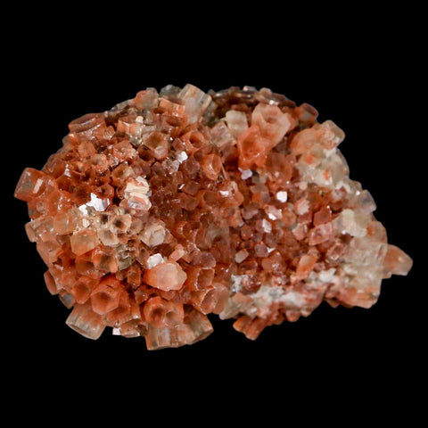 2.8" Aragonite Mineral Two Tone Crystal Cluster Specimen Tazouta Morocco - Fossil Age Minerals