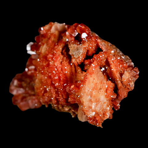 2.6" Sparkly Red Vanadinite Crystals on White Barite Blades Mineral Mabladen Morocco - Fossil Age Minerals