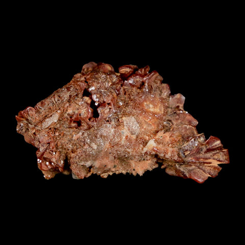 2.6" Sparkly Red Vanadinite Crystals on White Barite Blades Mineral Mabladen Morocco - Fossil Age Minerals