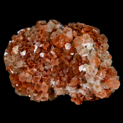 2.8" Aragonite Mineral Two Tone Crystal Cluster Specimen Tazouta Morocco - Fossil Age Minerals