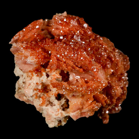 2.1" Sparkly Red Vanadinite Crystals on White Barite Blades Mineral Mabladen Morocco - Fossil Age Minerals