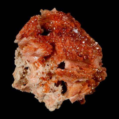 2.1" Sparkly Red Vanadinite Crystals on White Barite Blades Mineral Mabladen Morocco - Fossil Age Minerals
