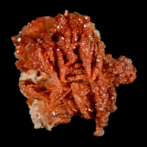 2.1" Sparkly Red Vanadinite Crystals on White Barite Blades Mineral Mabladen Morocco - Fossil Age Minerals