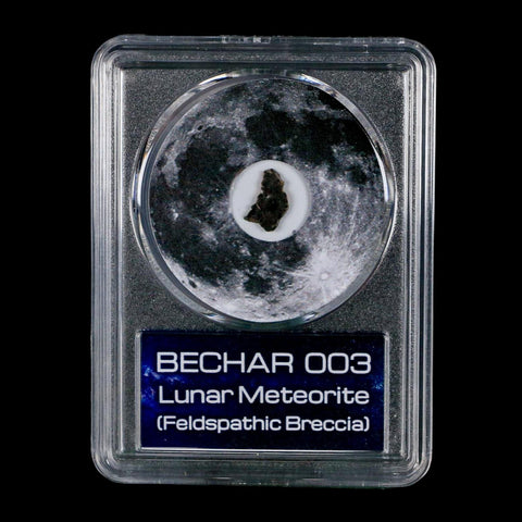 Moon Rock Lunar Meteorite Bechar 003 Algerian Sahara Desert Discovered 2022 COA