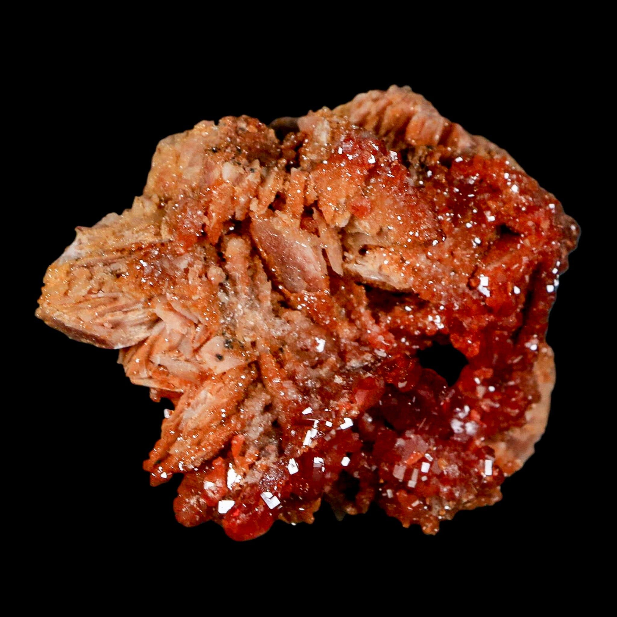 2.7" Sparkly Red Vanadinite Crystals on White Barite Blades Mineral Mabladen Morocco - Fossil Age Minerals