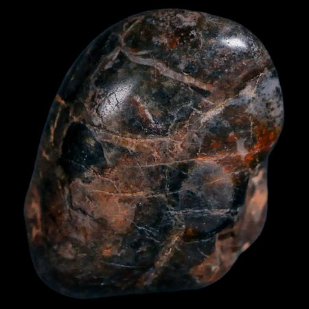 Gastrolites - Gastrolith Stomach Stones For Sale - Fossil Age Minerals