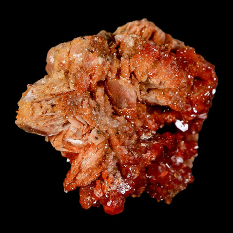 2.7" Sparkly Red Vanadinite Crystals on White Barite Blades Mineral Mabladen Morocco - Fossil Age Minerals