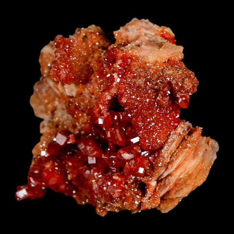 2.7" Sparkly Red Vanadinite Crystals on White Barite Blades Mineral Mabladen Morocco - Fossil Age Minerals