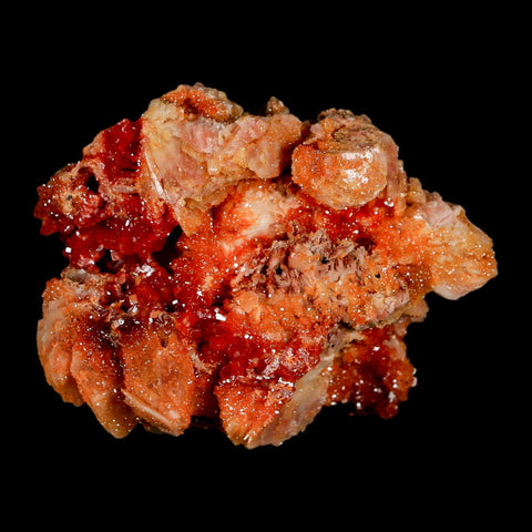 2.7" Sparkly Red Vanadinite Crystals on White Barite Blades Mineral Mabladen Morocco - Fossil Age Minerals