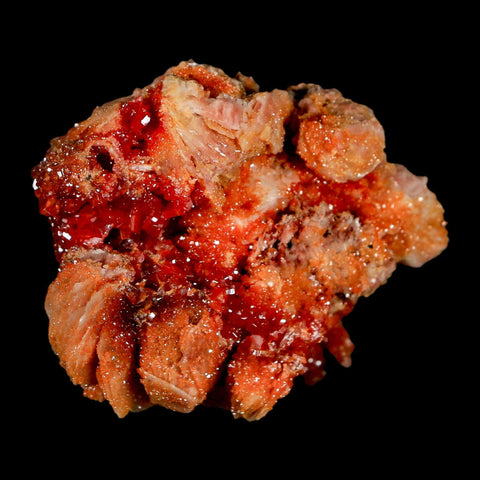 2.7" Sparkly Red Vanadinite Crystals on White Barite Blades Mineral Mabladen Morocco - Fossil Age Minerals