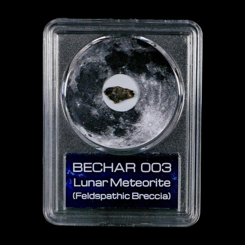 Moon Rock Lunar Meteorite Bechar 003 Algerian Sahara Desert Discovered 2022 COA