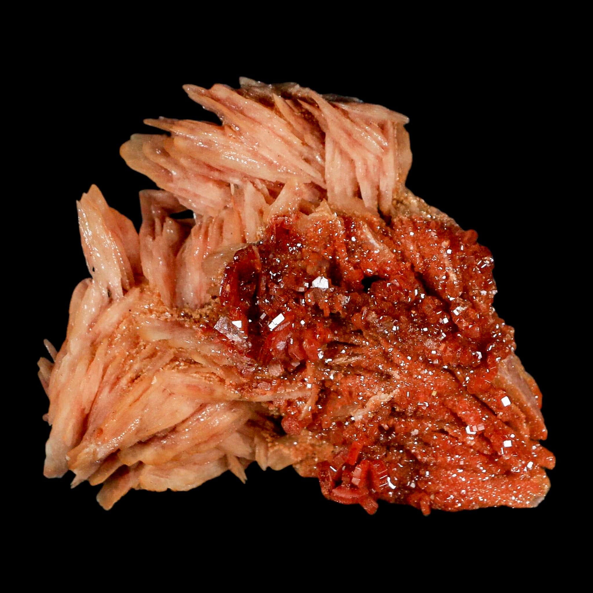 2.5" Sparkly Red Vanadinite Crystals on White Barite Blades Mineral Mabladen Morocco - Fossil Age Minerals