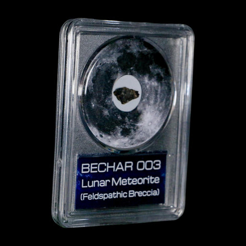 Moon Rock Lunar Meteorite Bechar 003 Algerian Sahara Desert Discovered 2022 COA