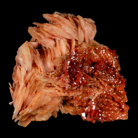 2.5" Sparkly Red Vanadinite Crystals on White Barite Blades Mineral Mabladen Morocco - Fossil Age Minerals