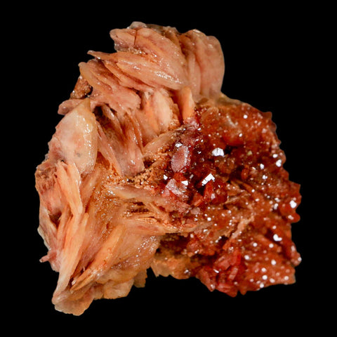 2.5" Sparkly Red Vanadinite Crystals on White Barite Blades Mineral Mabladen Morocco - Fossil Age Minerals