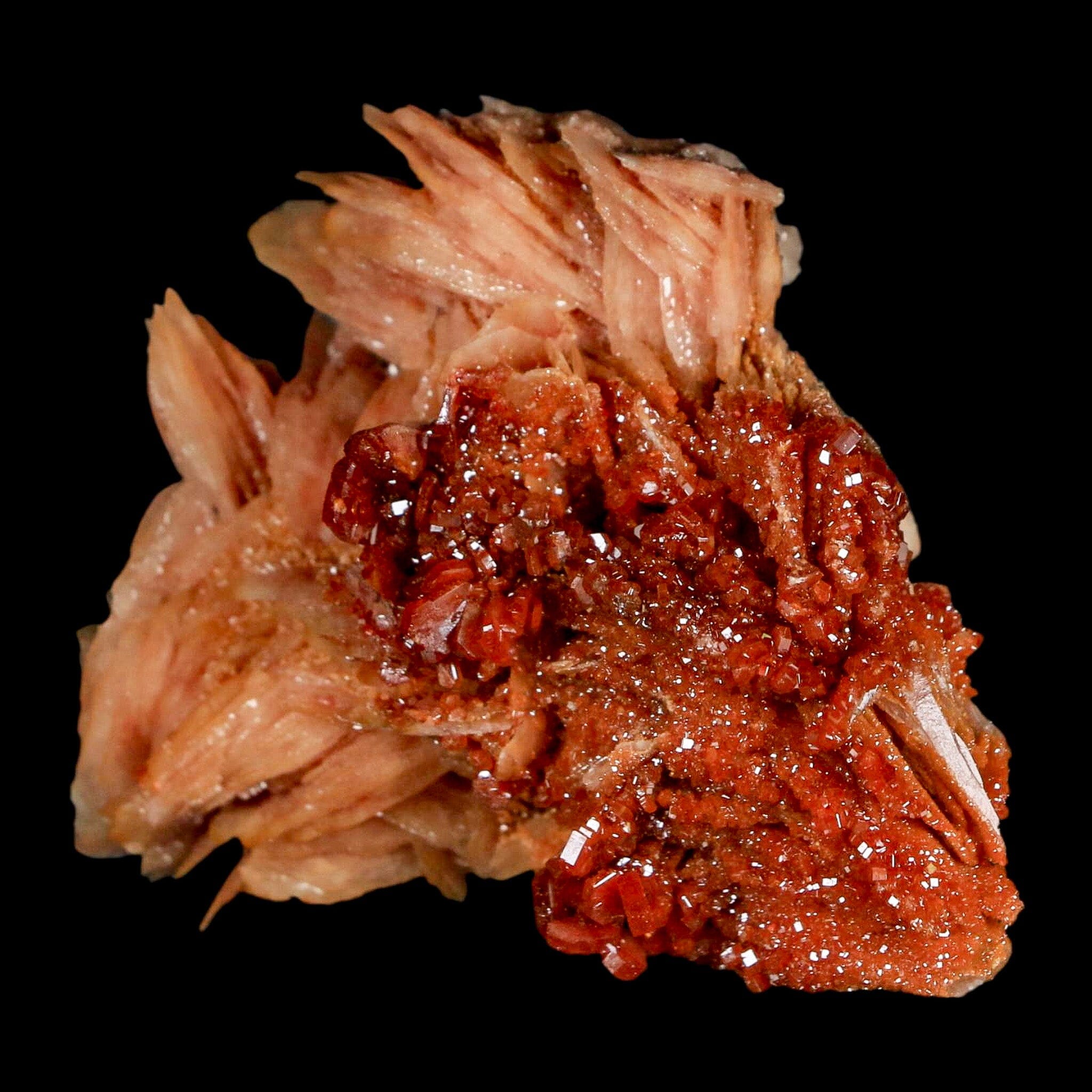 2.5" Sparkly Red Vanadinite Crystals on White Barite Blades Mineral Mabladen Morocco - Fossil Age Minerals