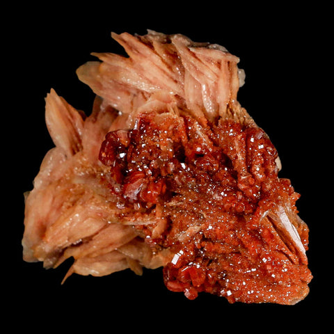 2.5" Sparkly Red Vanadinite Crystals on White Barite Blades Mineral Mabladen Morocco - Fossil Age Minerals