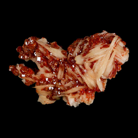3.1" Sparkly Red Vanadinite Crystals on White Barite Blades Mineral Mabladen Morocco - Fossil Age Minerals