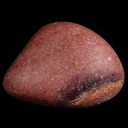 Gastrolites - Gastrolith Stomach Stones For Sale - Fossil Age Minerals