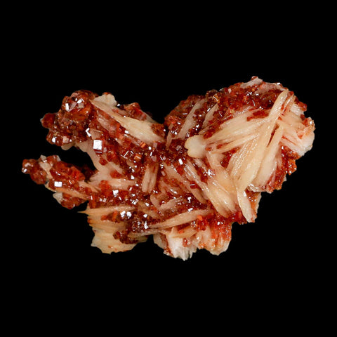 3.1" Sparkly Red Vanadinite Crystals on White Barite Blades Mineral Mabladen Morocco - Fossil Age Minerals