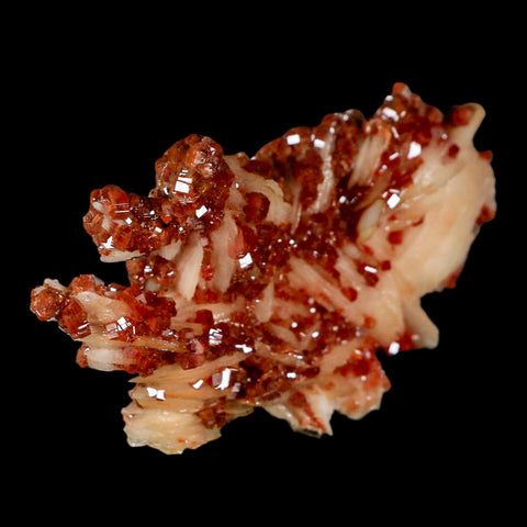 3.1" Sparkly Red Vanadinite Crystals on White Barite Blades Mineral Mabladen Morocco - Fossil Age Minerals