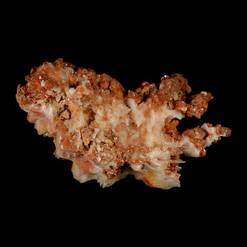3.1" Sparkly Red Vanadinite Crystals on White Barite Blades Mineral Mabladen Morocco - Fossil Age Minerals
