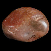 Gastrolites - Gastrolith Stomach Stones For Sale - Fossil Age Minerals
