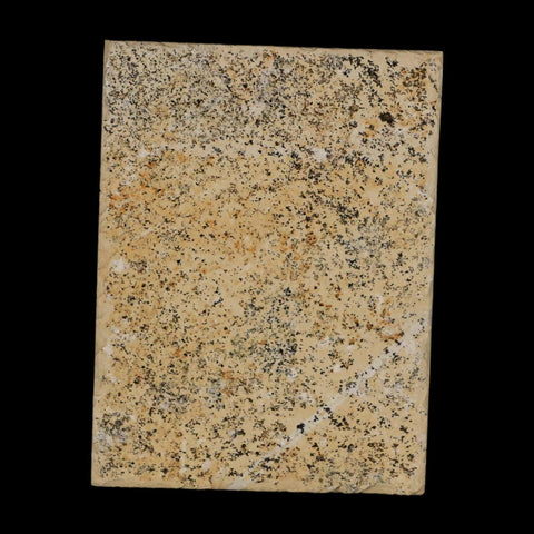 3.1" Pyrolusite Dendritic Limestone Solnhofen Upper Jurassic Age West Germany