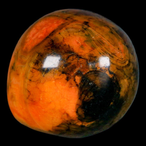 1.6" Polished Yellow Orange Silk Banded Agate Chalcedony Mineral Palm Stone - Fossil Age Minerals