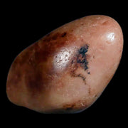 Gastrolites - Gastrolith Stomach Stones For Sale - Fossil Age Minerals