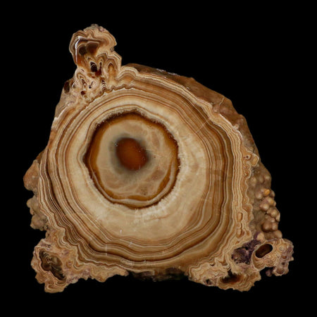 5.6" Aragonite Stalactite Slice Cave Calcite Crystal Mineral Specimen Morocco