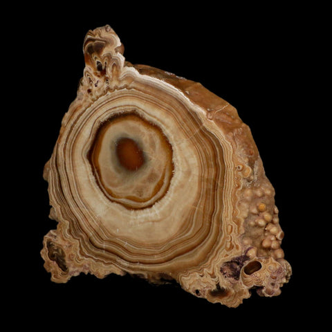 5.6" Aragonite Stalactite Slice Cave Calcite Crystal Mineral Specimen Morocco