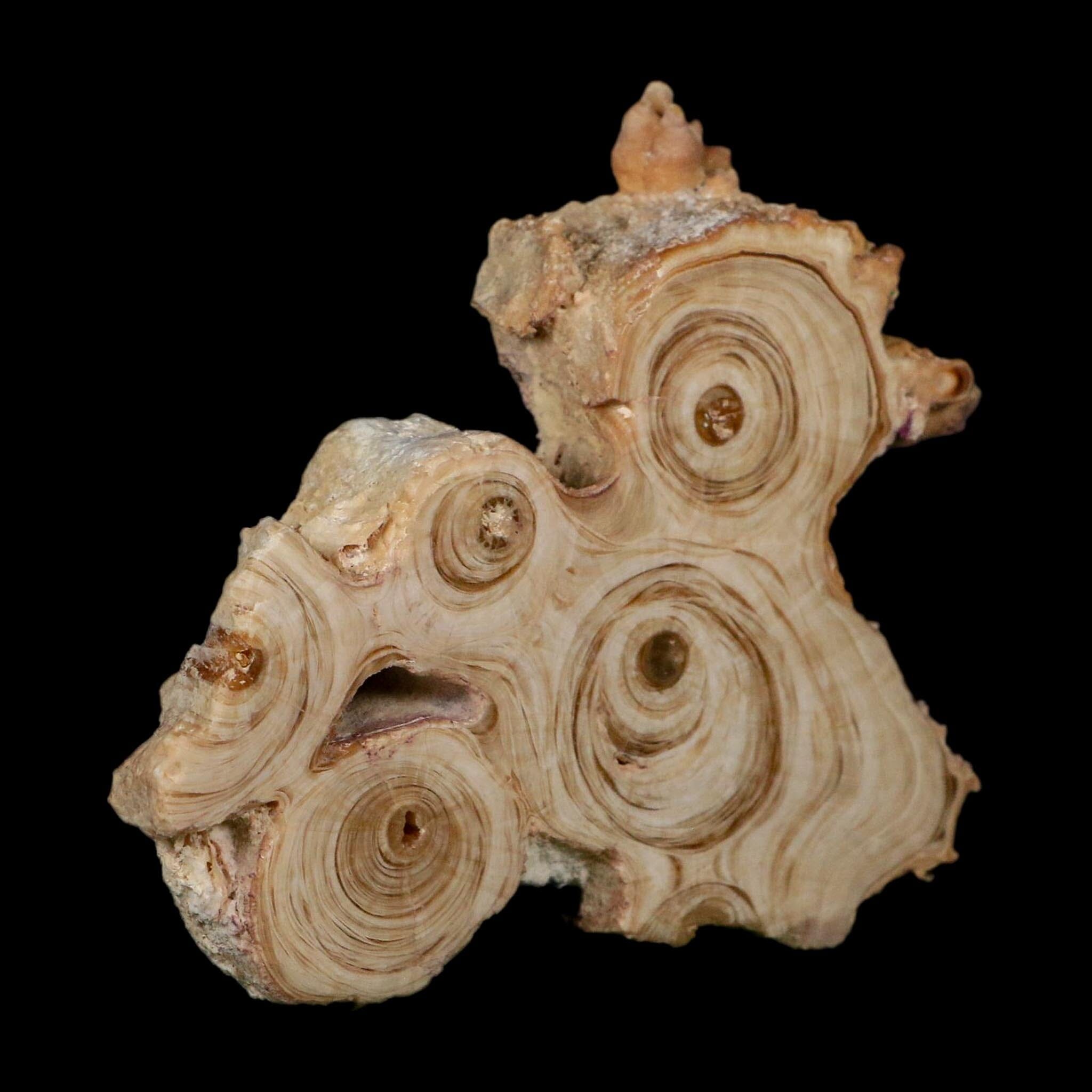 3.6" Aragonite Stalactite Slice Cave Calcite Crystal Mineral Specimen Morocco - Fossil Age Minerals