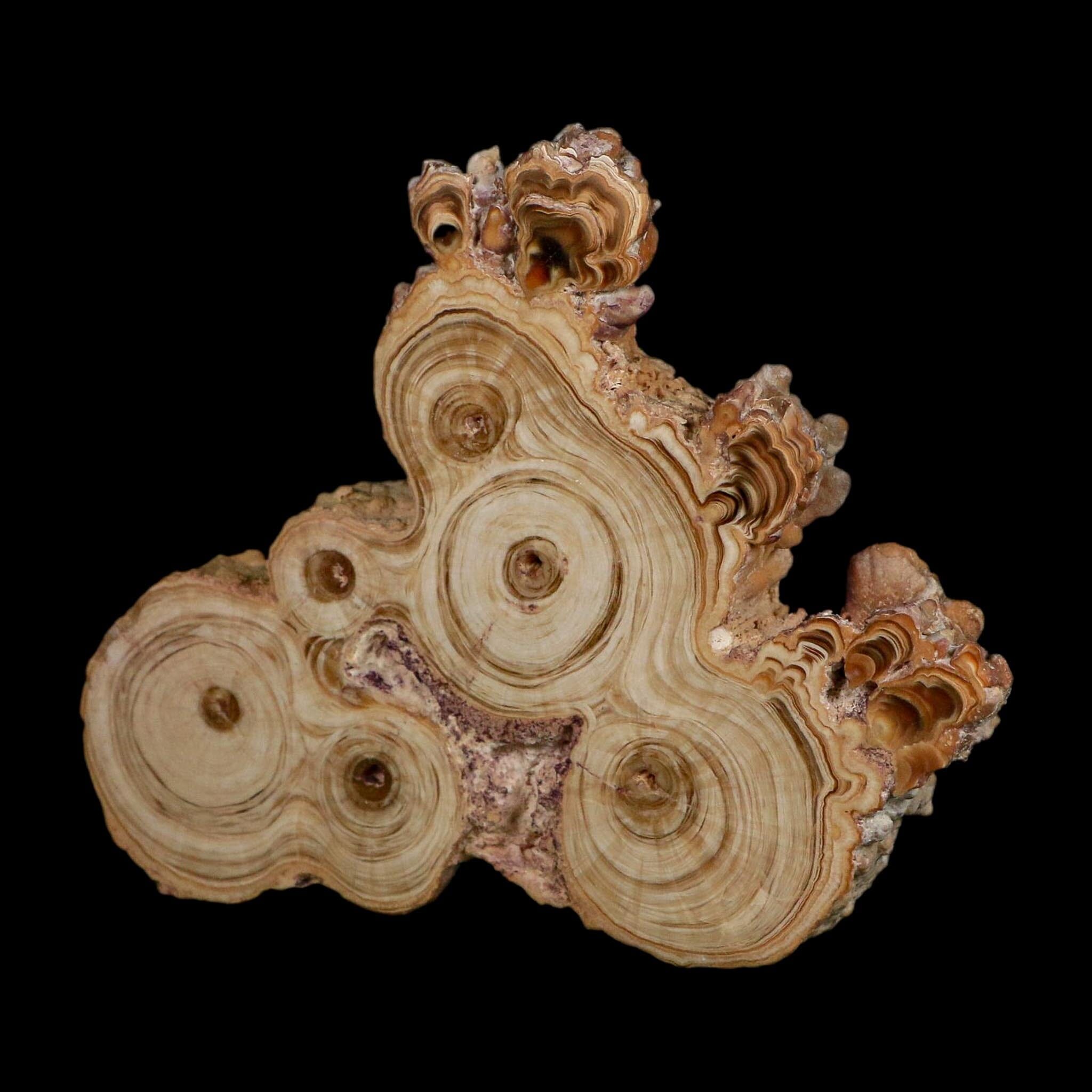 4.7" Aragonite Stalactite Slice Cave Calcite Crystal Mineral Specimen Morocco - Fossil Age Minerals