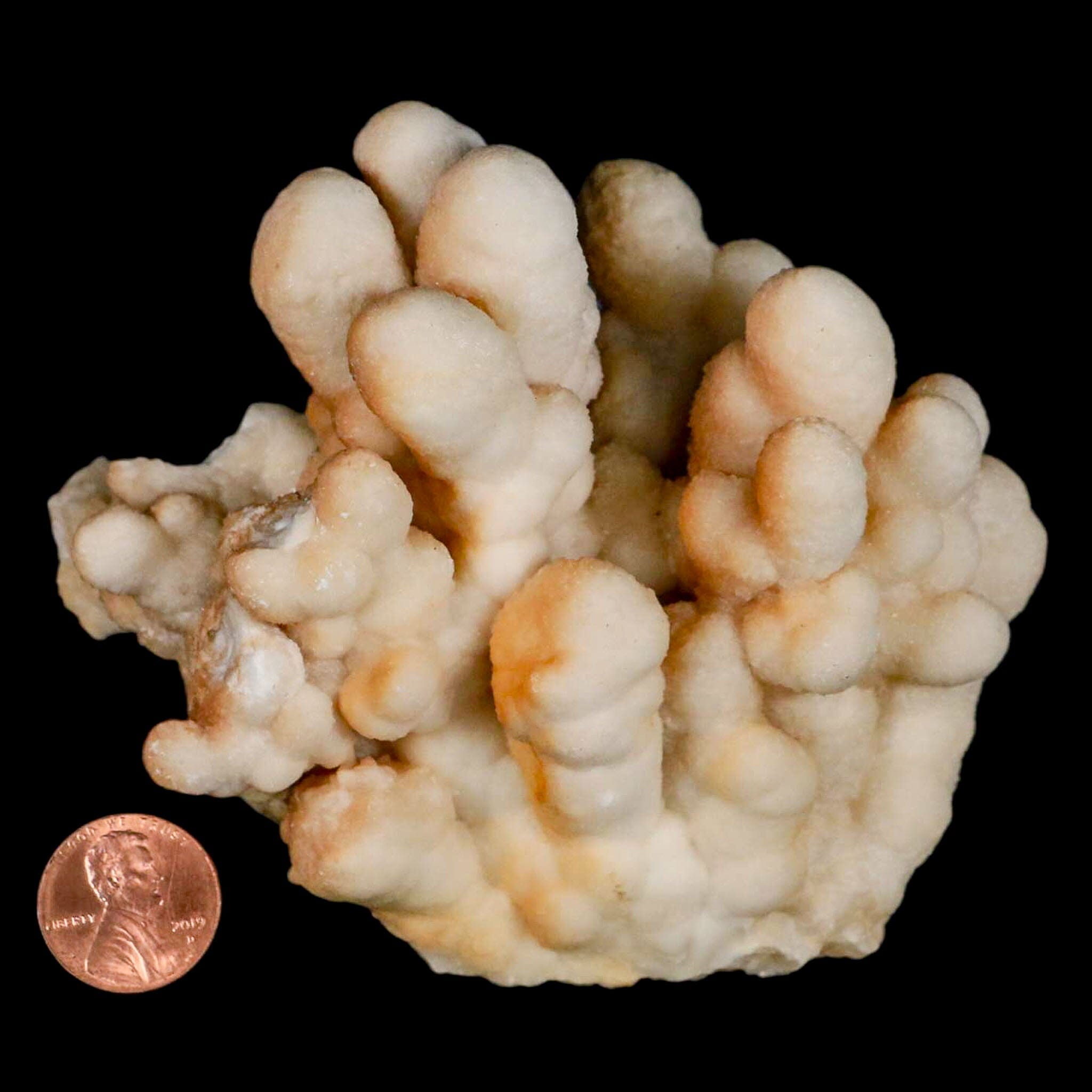 4.1" Botryoidal Aragonite Cave Calcite Crystal Cluster Mineral Specimen Morocco - Fossil Age Minerals