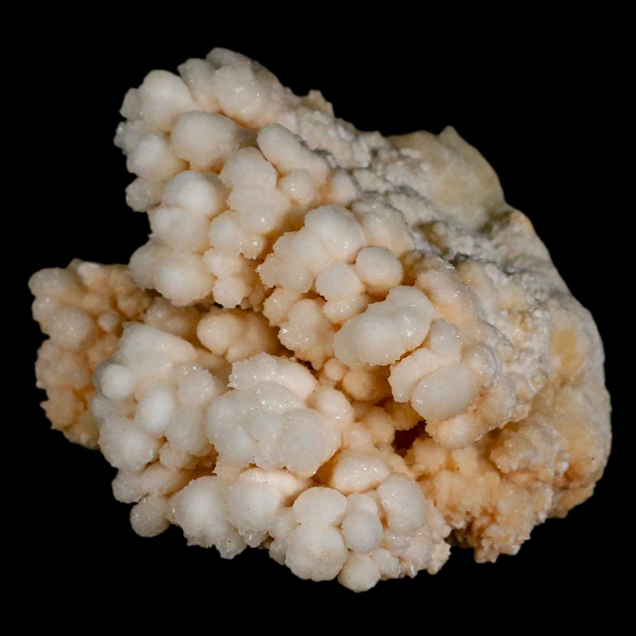 3.1" Botryoidal Aragonite Cave Calcite Crystal Cluster Mineral Specimen Morocco - Fossil Age Minerals