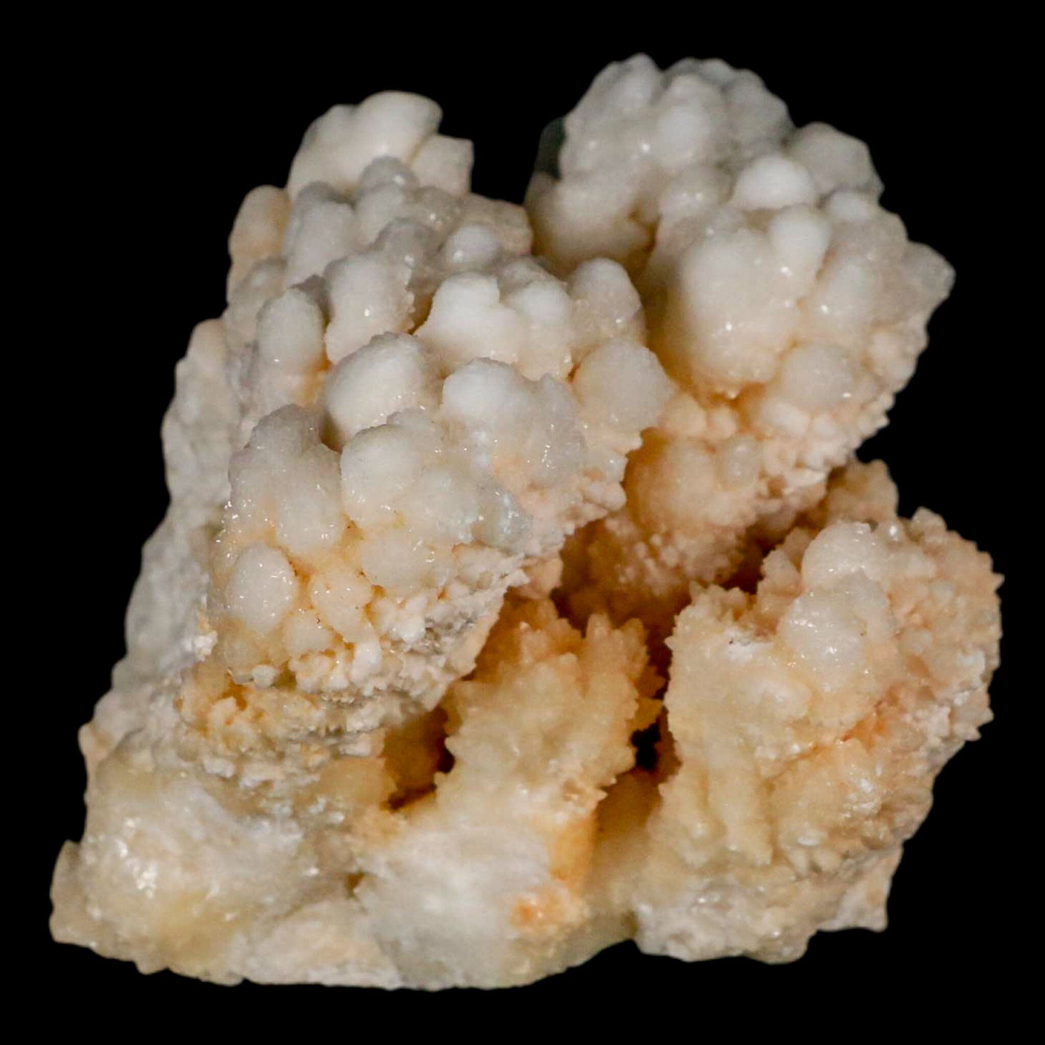3.1" Botryoidal Aragonite Cave Calcite Crystal Cluster Mineral Specimen Morocco - Fossil Age Minerals