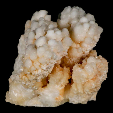 3.1" Botryoidal Aragonite Cave Calcite Crystal Cluster Mineral Specimen Morocco - Fossil Age Minerals