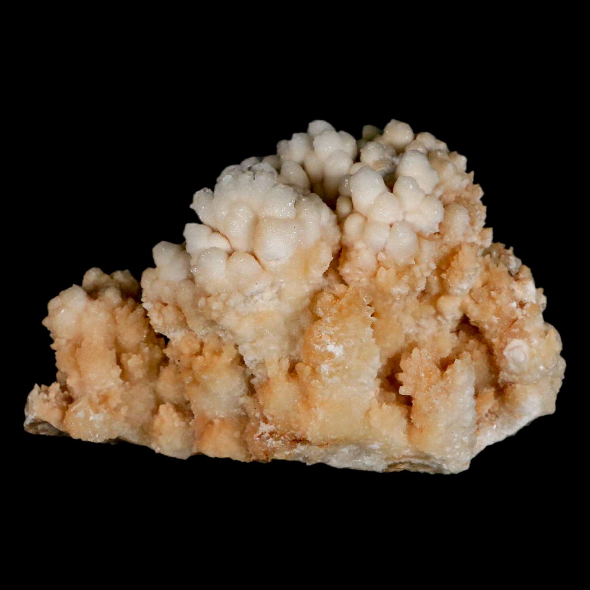 4.7" Botryoidal Aragonite Cave Calcite Crystal Cluster Mineral Specimen Morocco - Fossil Age Minerals