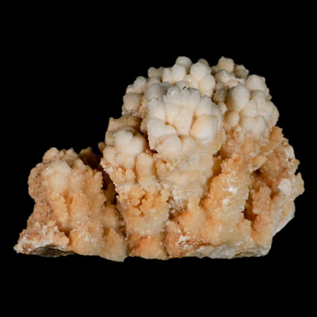 3.1" Botryoidal Aragonite Cave Calcite Crystal Cluster Mineral Specimen Morocco