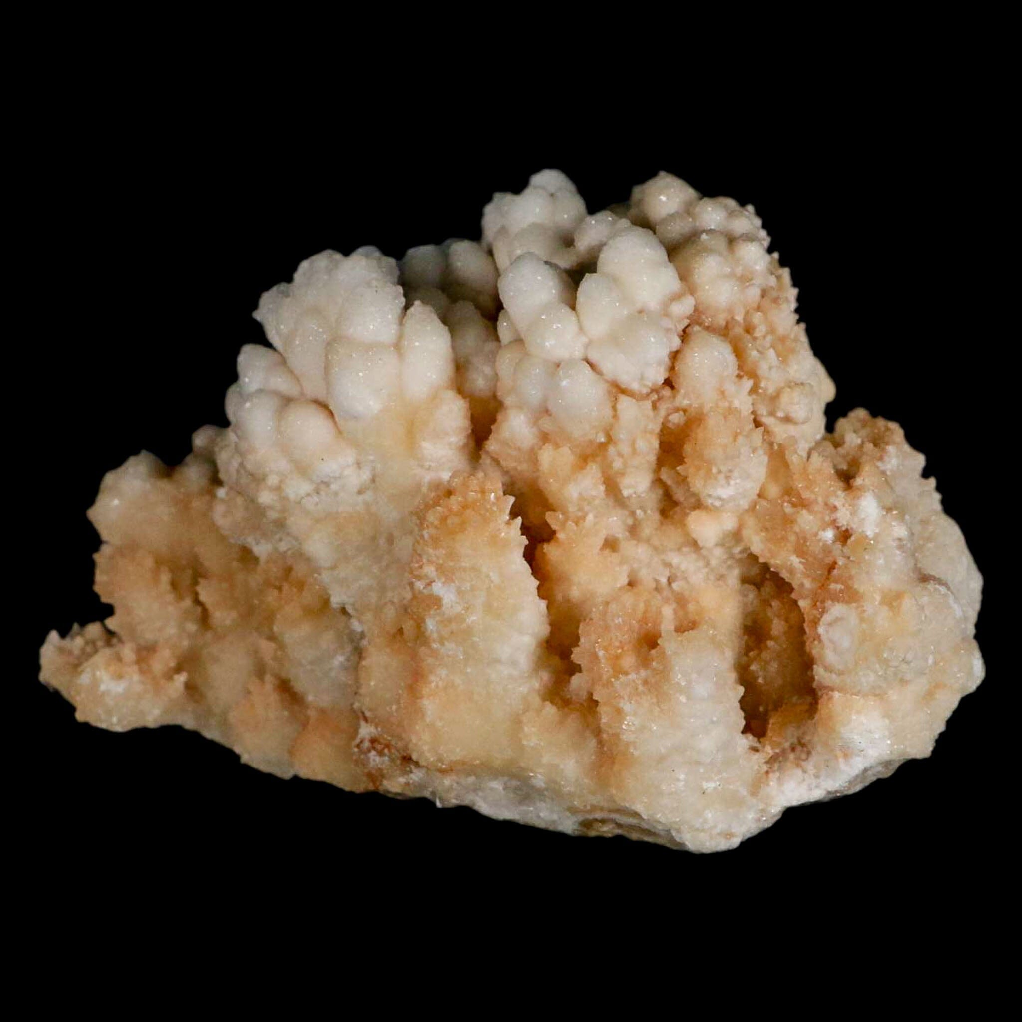 4.7" Botryoidal Aragonite Cave Calcite Crystal Cluster Mineral Specimen Morocco - Fossil Age Minerals