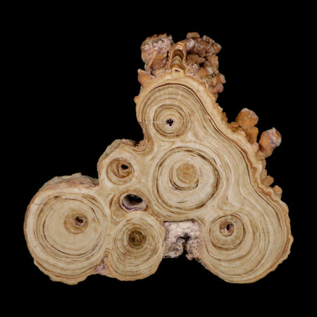 4.1" Aragonite Stalactite Slice Cave Calcite Crystal Mineral Specimen Morocco