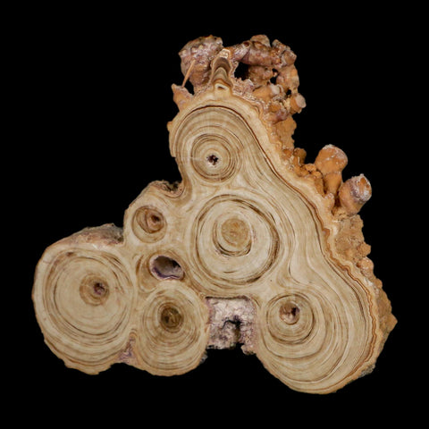 4.1" Aragonite Stalactite Slice Cave Calcite Crystal Mineral Specimen Morocco