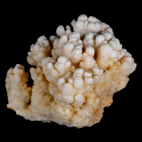 4" Botryoidal Aragonite Cave Calcite Crystal Cluster Mineral Specimen Morocco - Fossil Age Minerals