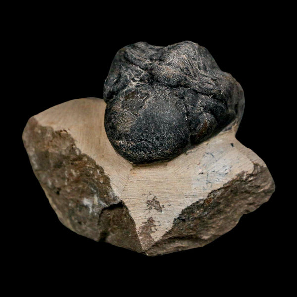 1.8