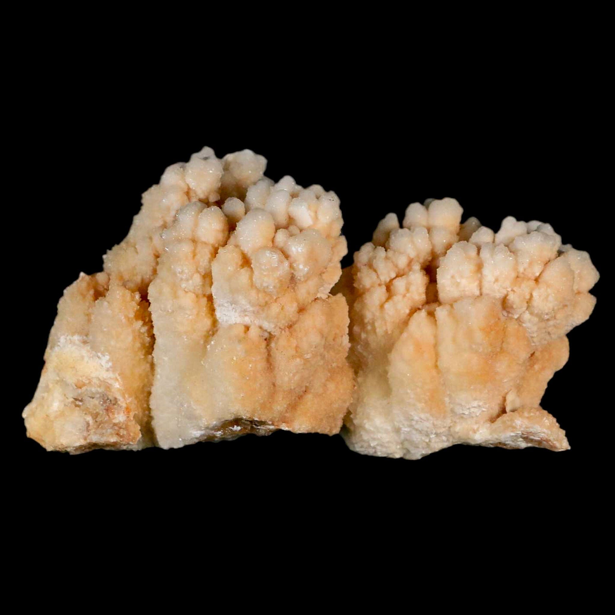 4.2" Botryoidal Aragonite Cave Calcite Crystal Cluster Mineral Specimen Morocco - Fossil Age Minerals